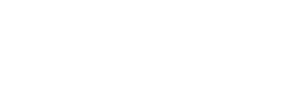 Business Website Studio